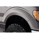 Purchase Top-Quality Fender Flare Or Flares by BUSHWACKER - 20929-02 pa8