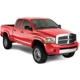 Purchase Top-Quality Fender Flare Or Flares by BUSHWACKER - 50907-02 pa10