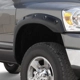 Purchase Top-Quality Fender Flare Or Flares by STAMPEDE - 8405-2 pa5