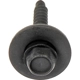 Purchase Top-Quality Fender Hardware by DORMAN - 961-041D pa4