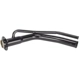 Purchase Top-Quality Filler Neck by SPECTRA PREMIUM INDUSTRIES - FN529 pa3