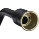 Purchase Top-Quality Filler Neck by SPECTRA PREMIUM INDUSTRIES - FN834 pa2