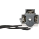Purchase Top-Quality Flasher Connector by BLUE STREAK (HYGRADE MOTOR) - HP3950 pa7