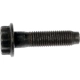 Purchase Top-Quality DORMAN - 13883 - Flywheel Or Crankshaft Pulley Bolts pa4