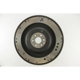 Purchase Top-Quality Flywheel by PIONEER - FW191 pa2