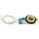 Purchase Top-Quality Fog Lamp Socket by BLUE STREAK (HYGRADE MOTOR) - HP4045 pa2