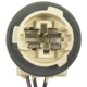 Purchase Top-Quality Fog Lamp Socket by BLUE STREAK (HYGRADE MOTOR) - S1489 pa1