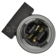 Purchase Top-Quality Fog Lamp Socket by BLUE STREAK (HYGRADE MOTOR) - S2138 pa1