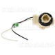 Purchase Top-Quality Fog Lamp Socket by BLUE STREAK (HYGRADE MOTOR) - S506 pa35