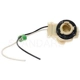 Purchase Top-Quality Fog Lamp Socket by BLUE STREAK (HYGRADE MOTOR) - S506 pa37