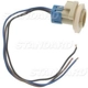 Purchase Top-Quality Fog Lamp Socket by BLUE STREAK (HYGRADE MOTOR) - S590 pa15