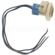 Purchase Top-Quality Fog Lamp Socket by BLUE STREAK (HYGRADE MOTOR) - S590 pa19