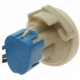 Purchase Top-Quality Fog Lamp Socket by BLUE STREAK (HYGRADE MOTOR) - S590 pa20