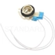 Purchase Top-Quality Fog Lamp Socket by BLUE STREAK (HYGRADE MOTOR) - S829 pa1