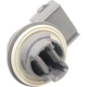Purchase Top-Quality Fog Lamp Socket by BLUE STREAK (HYGRADE MOTOR) - S876 pa16