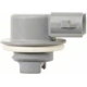 Purchase Top-Quality Fog Lamp Socket by BLUE STREAK (HYGRADE MOTOR) - S876 pa19