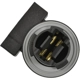 Purchase Top-Quality STANDARD - PRO SERIES - S2138 - Fog Lamp Socket pa3