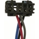Purchase Top-Quality Fog Lamp Switch by BLUE STREAK (HYGRADE MOTOR) - CBS1424 pa1