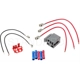 Purchase Top-Quality Fog Lamp Switch Connector by BLUE STREAK (HYGRADE MOTOR) - RY66 pa1
