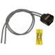 Purchase Top-Quality Fog Lamp Switch Connector by BLUE STREAK (HYGRADE MOTOR) - S2175 pa1