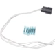 Purchase Top-Quality Fog Lamp Switch Connector by BLUE STREAK (HYGRADE MOTOR) - S958 pa1