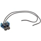 Purchase Top-Quality Fog Lamp Switch Connector by BLUE STREAK (HYGRADE MOTOR) - HP3960 pa5