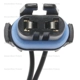 Purchase Top-Quality Fog Lamp Switch Connector by BLUE STREAK (HYGRADE MOTOR) - HP3970 pa3