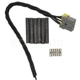 Purchase Top-Quality Fog Lamp Switch Connector by BLUE STREAK (HYGRADE MOTOR) - S2241 pa4