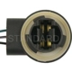 Purchase Top-Quality Fog Lamp Switch Connector by BLUE STREAK (HYGRADE MOTOR) - S862 pa14