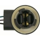Purchase Top-Quality Fog Lamp Switch Connector by BLUE STREAK (HYGRADE MOTOR) - S862 pa15