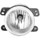 Purchase Top-Quality Fog Light Assembly by DEPO - 333-2025N-AC pa1