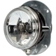 Purchase Top-Quality Fog Light by HELLA - 008582001 pa5