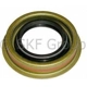 Purchase Top-Quality Front Axle Seal by SKF - 12494 pa1