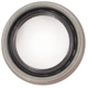 Purchase Top-Quality SKF - 18107 - Front Axle Seal pa8