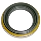 Purchase Top-Quality SKF - 18491 - Front Axle Seal pa2