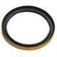 Purchase Top-Quality TIMKEN - 710161 - Axle Shaft Seal pa2