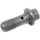 Purchase Top-Quality ACDELCO - 11569590 - Bolt pa1