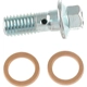 Purchase Top-Quality Front Banjo Bolt by CARLSON - H9469-2 pa2