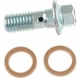 Purchase Top-Quality Front Banjo Bolt by CARLSON - H9469-2 pa5