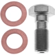 Purchase Top-Quality RAYBESTOS - H5388 - Front Brake Hydraulic Hose Banjo Bolt pa1