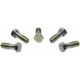 Purchase Top-Quality Front Banjo Bolt (Pack of 5) by RAYBESTOS - H5377 pa2