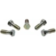 Purchase Top-Quality Front Banjo Bolt (Pack of 5) by RAYBESTOS - H5377 pa3