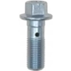 Purchase Top-Quality Front Banjo Bolt by RAYBESTOS - H5380 pa4
