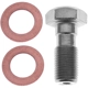 Purchase Top-Quality Front Banjo Bolt by RAYBESTOS - H5386 pa1