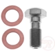 Purchase Top-Quality Front Banjo Bolt by RAYBESTOS - H5386 pa2