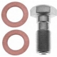 Purchase Top-Quality Front Banjo Bolt by RAYBESTOS - H5386 pa3