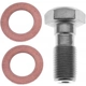 Purchase Top-Quality Front Banjo Bolt by RAYBESTOS - H5386 pa4
