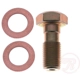 Purchase Top-Quality Front Banjo Bolt by RAYBESTOS - H5387 pa1