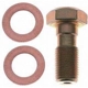 Purchase Top-Quality Front Banjo Bolt by RAYBESTOS - H5387 pa3