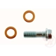Purchase Top-Quality Front Banjo Bolt by RAYBESTOS - H9505 pa1